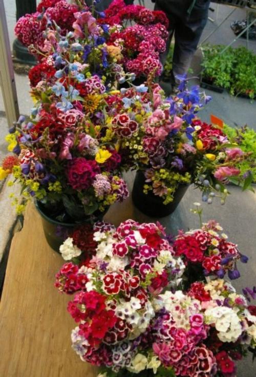 buckets of market flowers